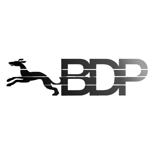 Black Dog Projects